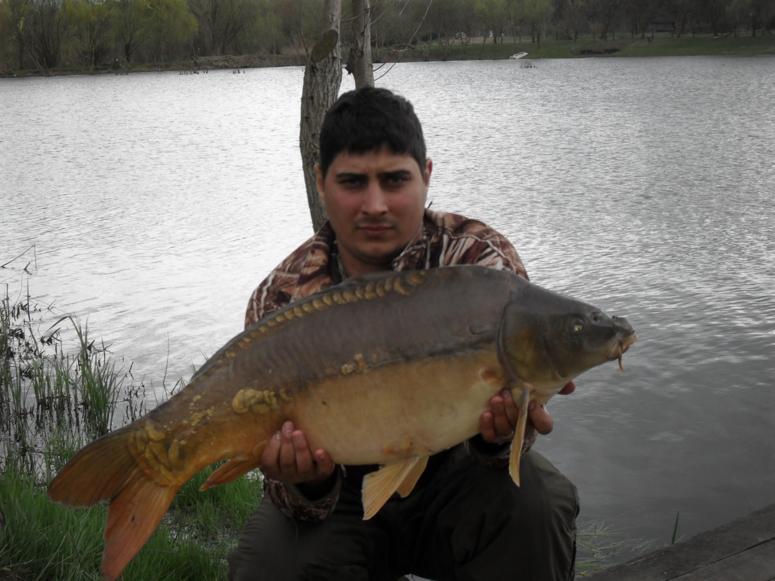 Palic 2012 primavara - SAM_0610.JPG